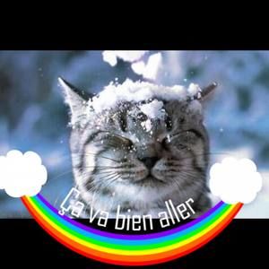 Meet your Posher, Pascale